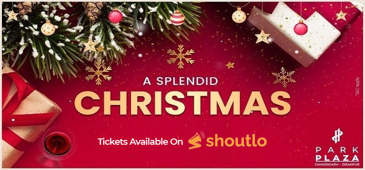 park-plaza-zirakpur-christmas-party