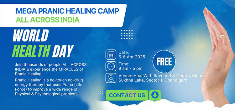 healing-retreat-sukhna-lake-chandigarh