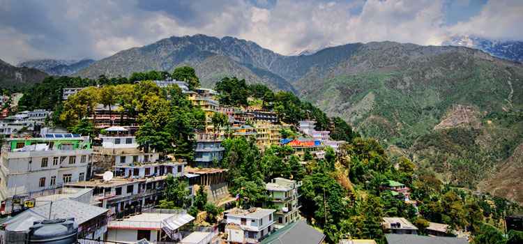 these-are-15-cafes-that-you-simply-cant-miss-in-mcleodganj