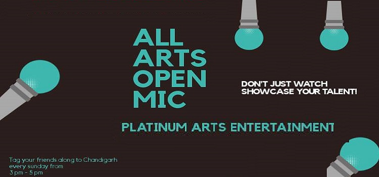 open-mic-platinum-arts-club-chandigarh