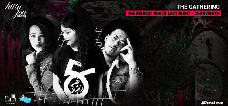 biggest-north-east-night-kitty-su-chandigarh-feb-2019