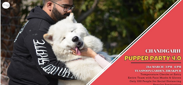 chandigarh-pupper-party-at-teaspoon-garden-zirakpur