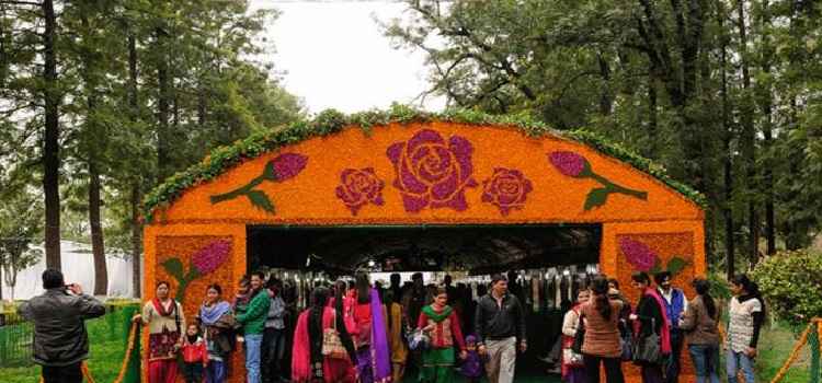 chandigarh-rose-festival-2018