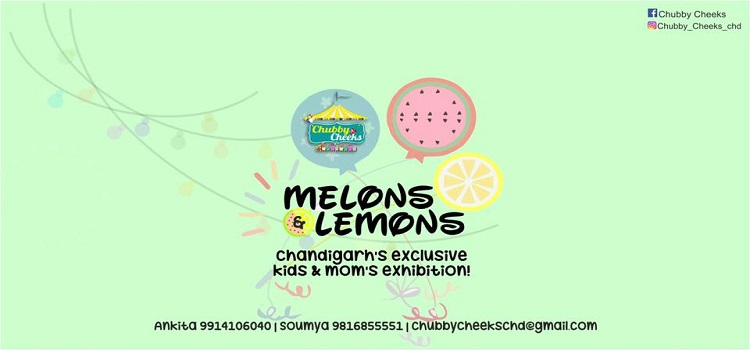 chubby-cheeks-kids-exhibition-hyatt-chandigarh-may-2018