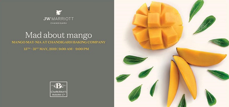 mango-maynia-chandigarh-baking-company-jw-marriott-2019