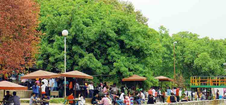 must-have-food-at-stuc-panjab-university-chandigarh