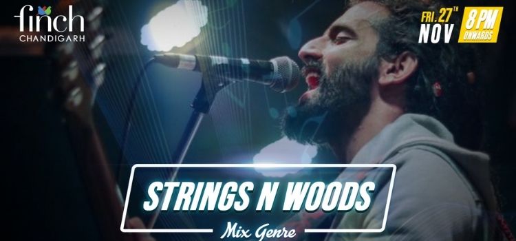 strings-n-woods-band-live-at-the-finch-chandigarh