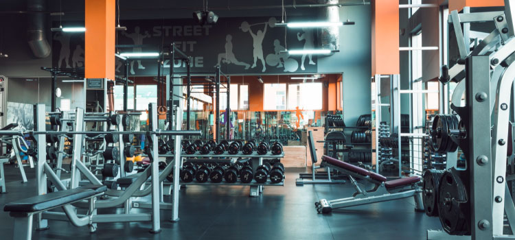 https://www.shoutlo.com/articles/top-gyms-in-panchkula