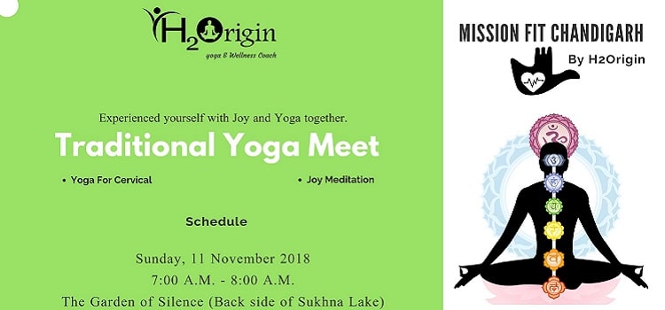 traditional-yoga-meet-in-chandigarh-november-2018
