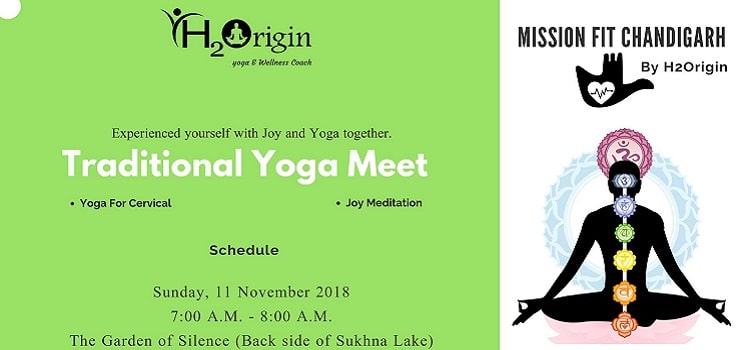 traditional-yoga-meet-in-chandigarh-november-2018