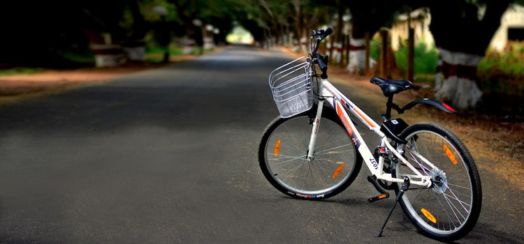 https://www.shoutlo.com/articles/yaana-rent-bicycle-in-panchkula