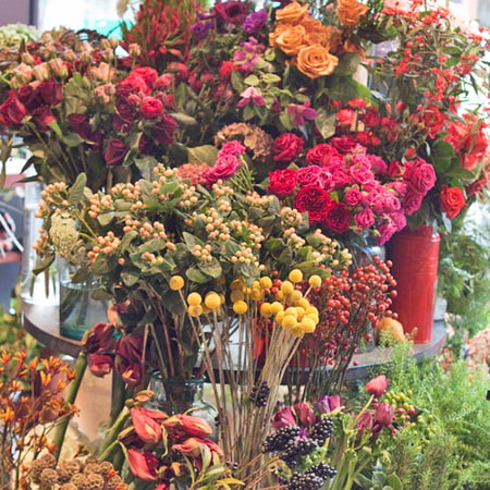 Arena Flowers