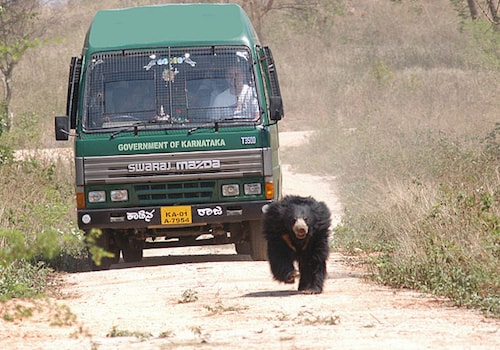 Bannerghatta National Park