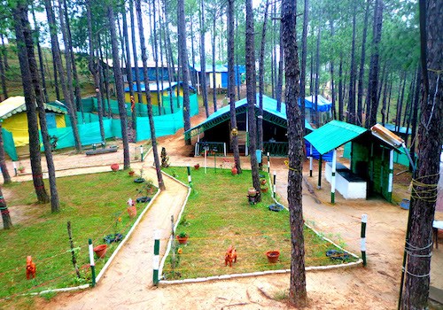 Barog Pine Hills Eco Camp