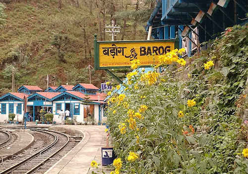 Barog