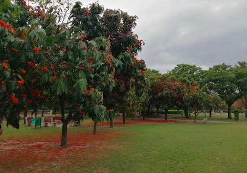 Garden of Fragrance