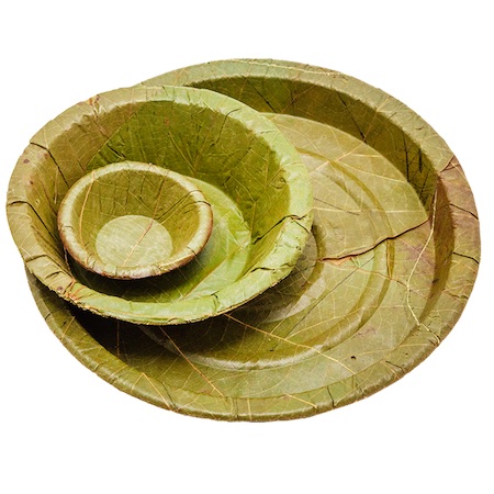 Green ‘Eco-friendly’ Plates