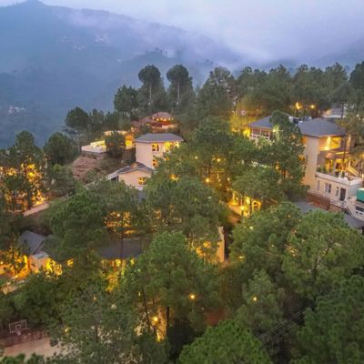 Jungle Lodge Resorts