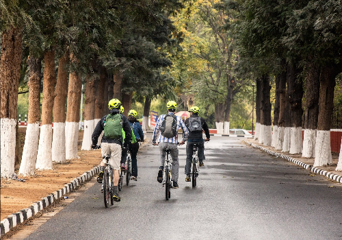 Relish The Bicycle Ride