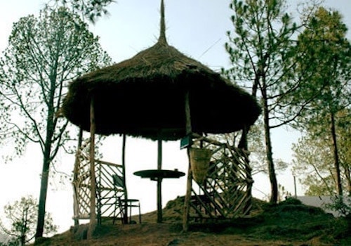 Sanawar Nature Camp- Kasauli