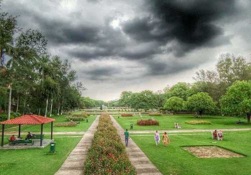 Terraced Garden