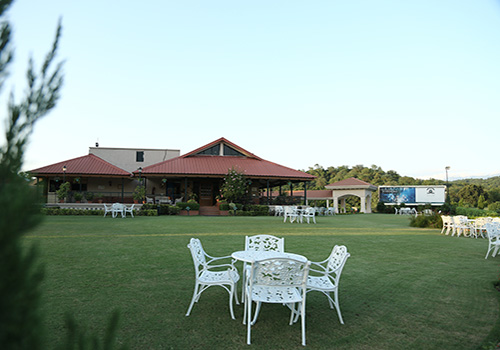 The Green Emerald- Forest Hill Resort