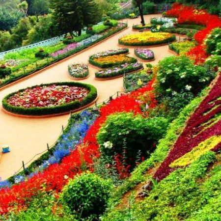 Zakir Hussain Rose Garden