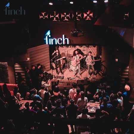 relish a gala live musical night at the finch