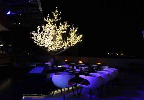 the cove panchkula new years eve