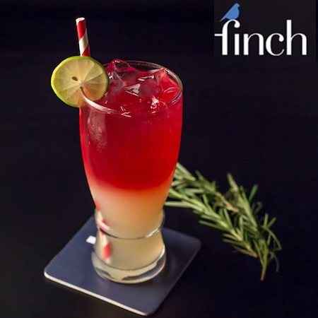 the finch chandigarh