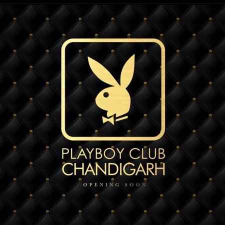 wildest party hub playboy is coming to chandigarh